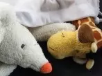 Karusellfahrt für die Lieblinge der Kleinen