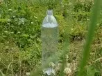 Katzen mit Wasserflaschen fernhalten
