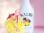 Malibu-Orange