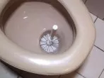 Klobürste reinigen beim Toilette reinigen