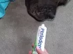 Abwehr-/Umgebungsspray für Hund unnötig mit Zahnpasta