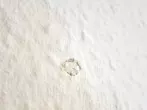 Papiertaschentücher in die Wand nageln