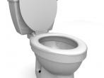 Ablagerungen im Toilettenbecken: Spülkasten <strong>reinigen</strong>