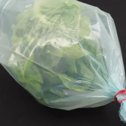 Blattsalat länger frisch halten