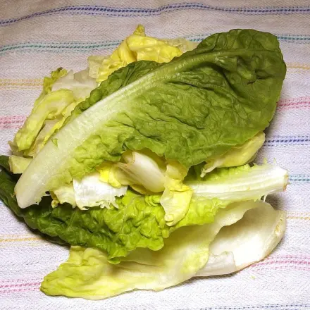 Salat schleudern ohne Salatschleuder