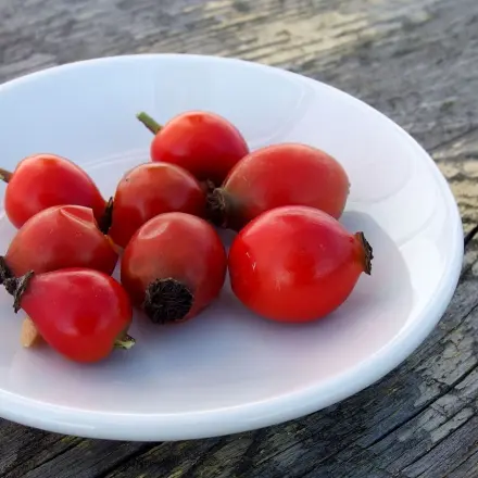 Hagebuttenmark ist eine Vitaminbombe