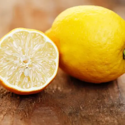 Zitrone immer frisch dank Eisbeutel