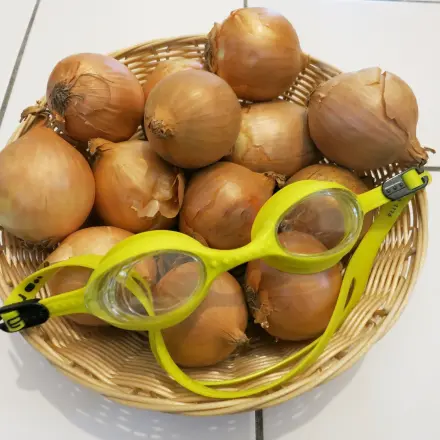 Zwiebeln - Zum Weinen? Teil V