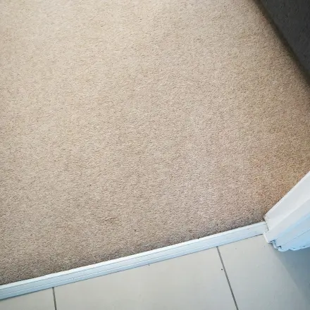 Teppiche wieder enthaaren mit dem Staubsauger