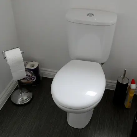 Toilettenreinigung zum Schmunzeln