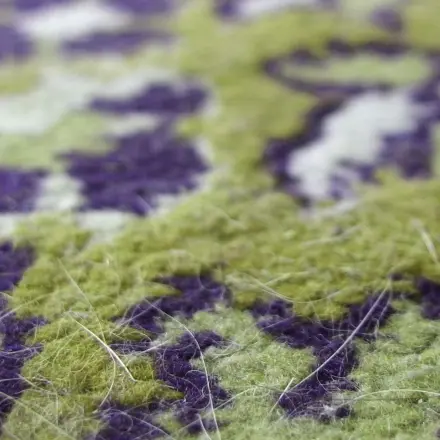 Tierhaare aus Teppichen mit dem Dampfreiniger entfernen