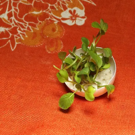 Osterdeko mit Eierschalen