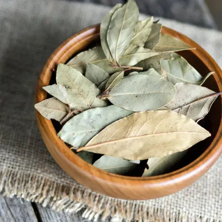 Fischgeruch entfernen