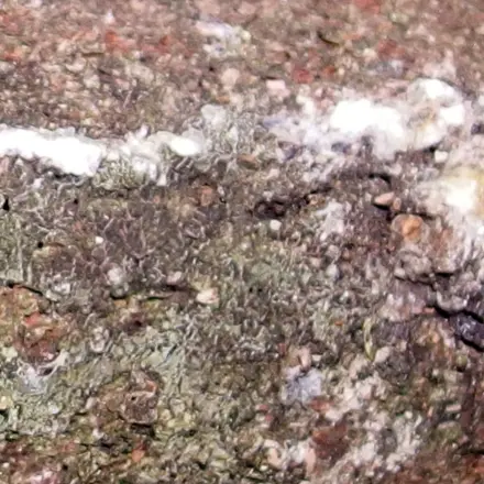 Baumharz entfernen mit Nivea