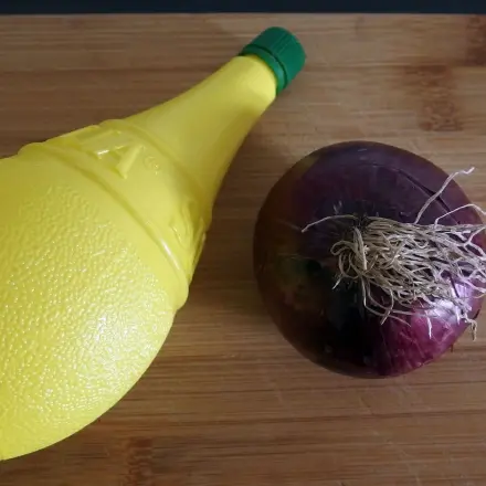 Zwiebel schneiden ohne stinkende Hände mit Zitronensaft
