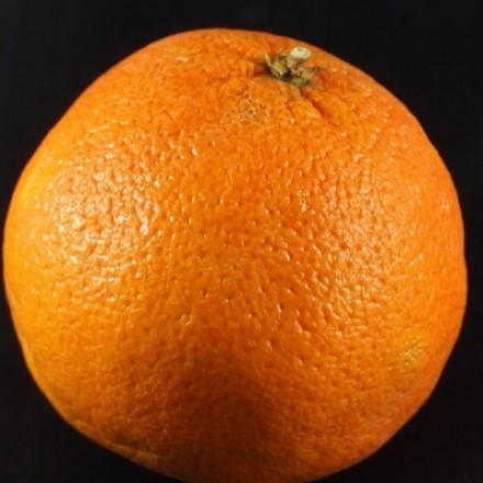 Heiße Orange statt "heiße Zitrone"