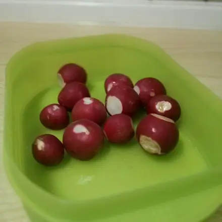 Radieschen frischhalten