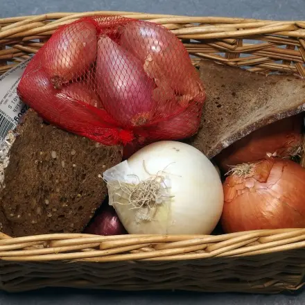 So keimen Zwiebeln nicht