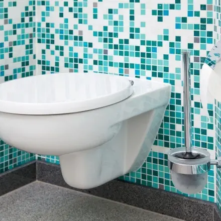 Verfärbte WC-Deckel