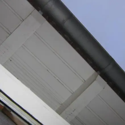 Vogelnester mit Angelschnur verhindern