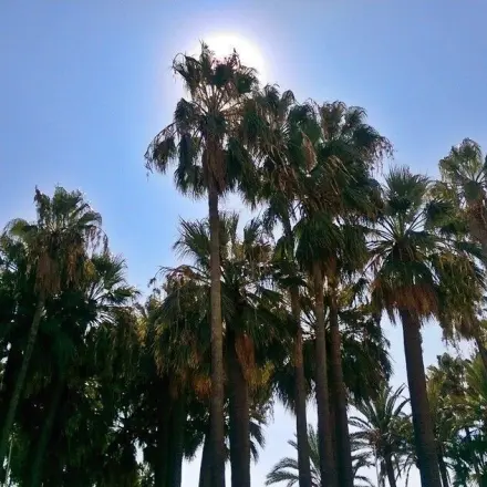 Touristeninformationen - die besseren Reiseführer