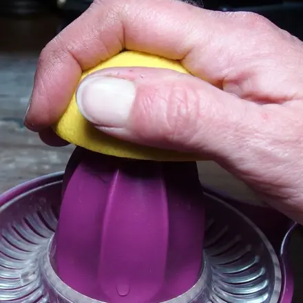 Was tun mit den übrig gebliebenen Zitronen?