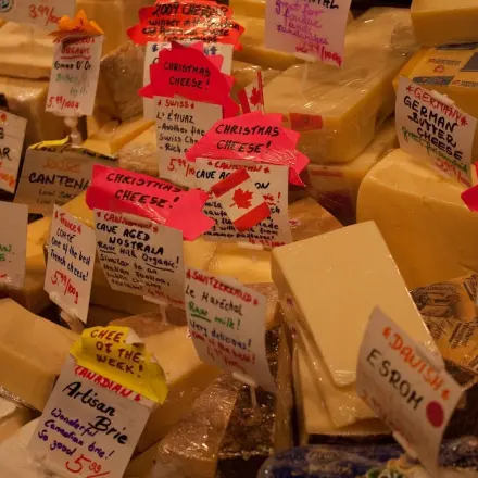 Käse bleibt mit Würfelzucker länger frisch