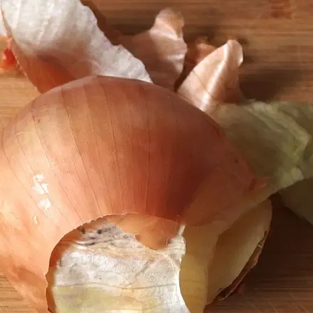 Zwiebelschalen gegen Blattläuse