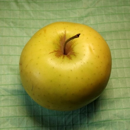 Äpfelabreiben mit Mikrofasertuch