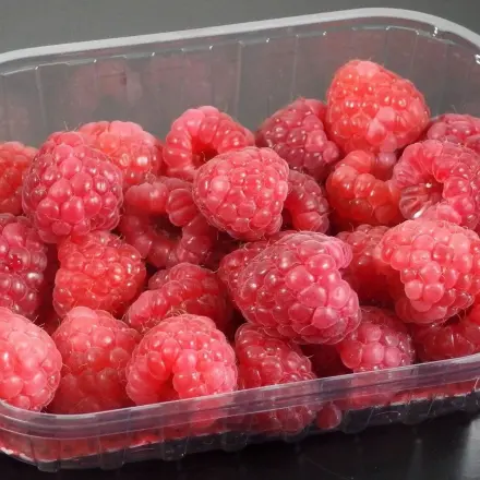 Himbeeren bei Fieber