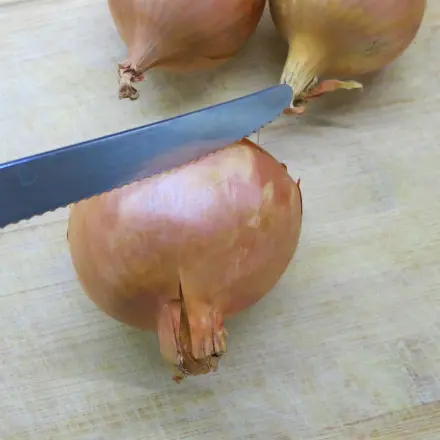 Zwiebeln - zum Weinen? Teil VII