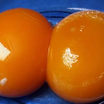 Eier einfrieren - kein Problem