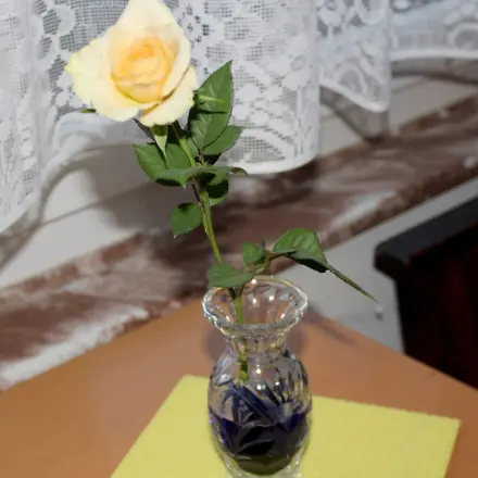 Blaue Rosen