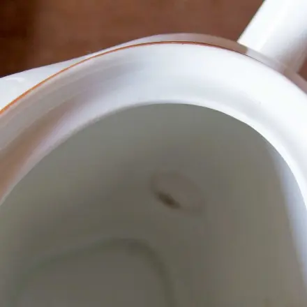Kaffee- und Teerückstände in Kannen mit Minztee entfernen