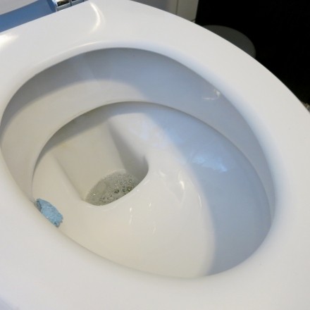 Verschmutzter Toilettenabfluss