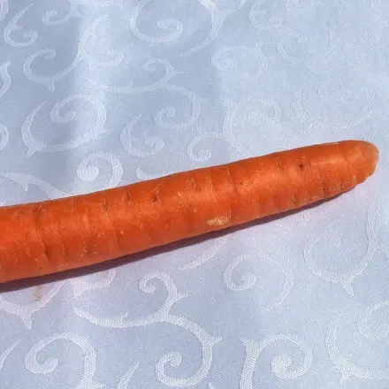 Karottenflecken einfach in der Sonne verschwinden lassen