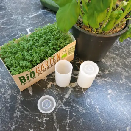 Kräuter einfrieren in kleinen Plastikdosen