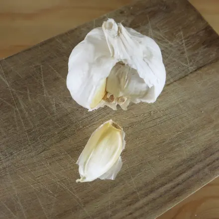 Flöhe ganz leicht mit Knoblauch wegbekommen