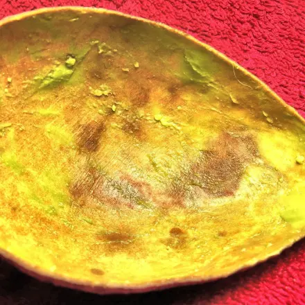 Avocadoschale statt Gesichtsmaske