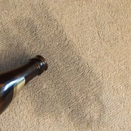 Bier gegen Tiergerüche