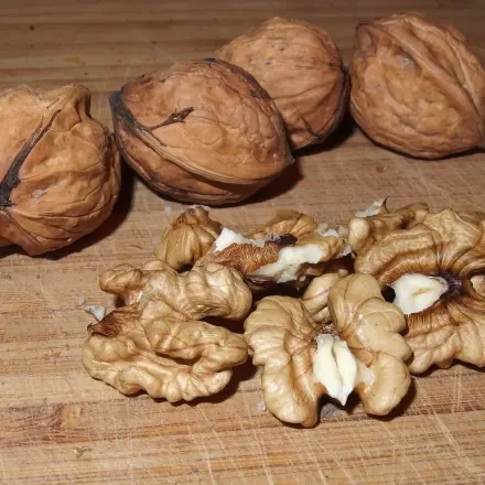 Frikadellen mit Walnüssen verfeinern