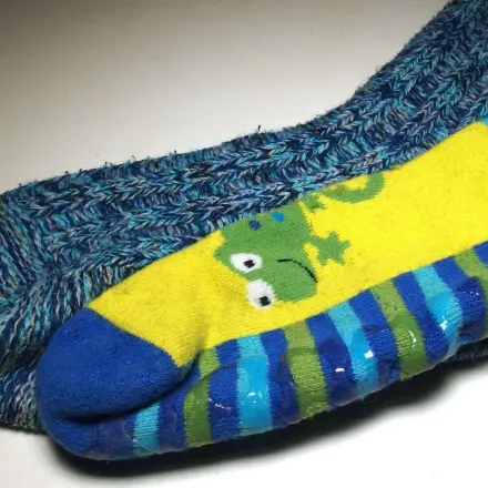 Wo ist die andere Socke geblieben?