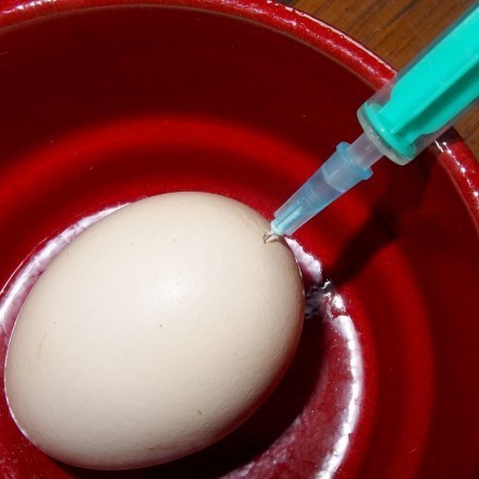 Eier ausblasen mit einer Spritze