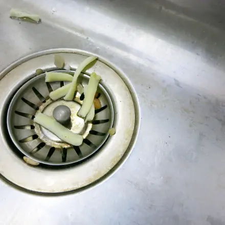 Verstopften Abfluss vermeiden: Essensreste