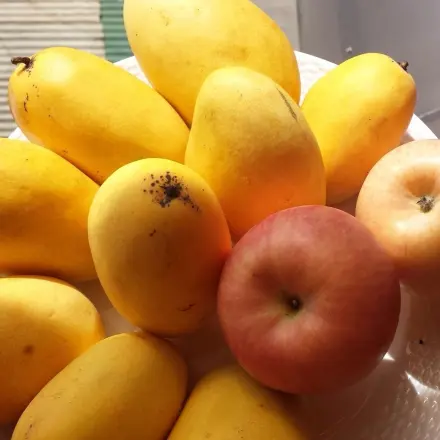 Grüne Mango reifen besser auf Äpfeln