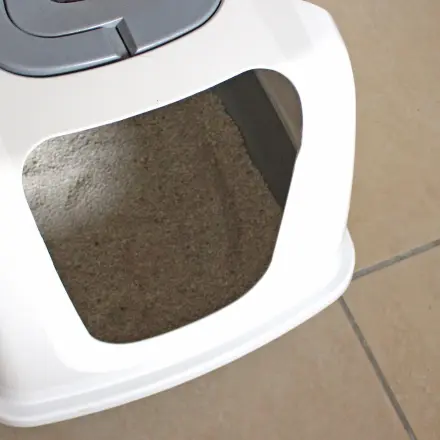 Katzentoiletten leichter reinigen: Vorbeugen!