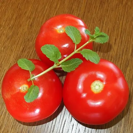 Tomatensoße schmeckt frischer mit Pfefferminz