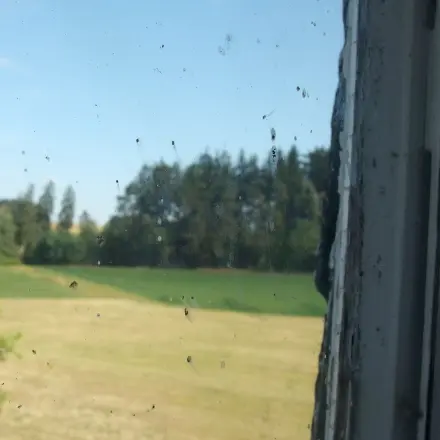 Fensterputzen mit kaltem Wasser und Ammoniak