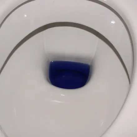 Toilettenbürste "automatisch" reinigen