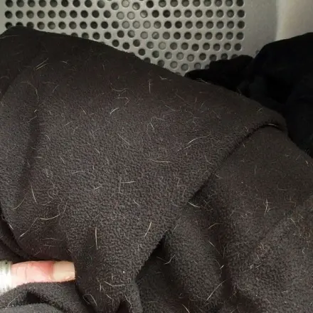 Fusseln auf schwarzen Klamotten? In den Trockner damit!